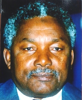 H.E. Ali H. Mwinyi - Ambassador