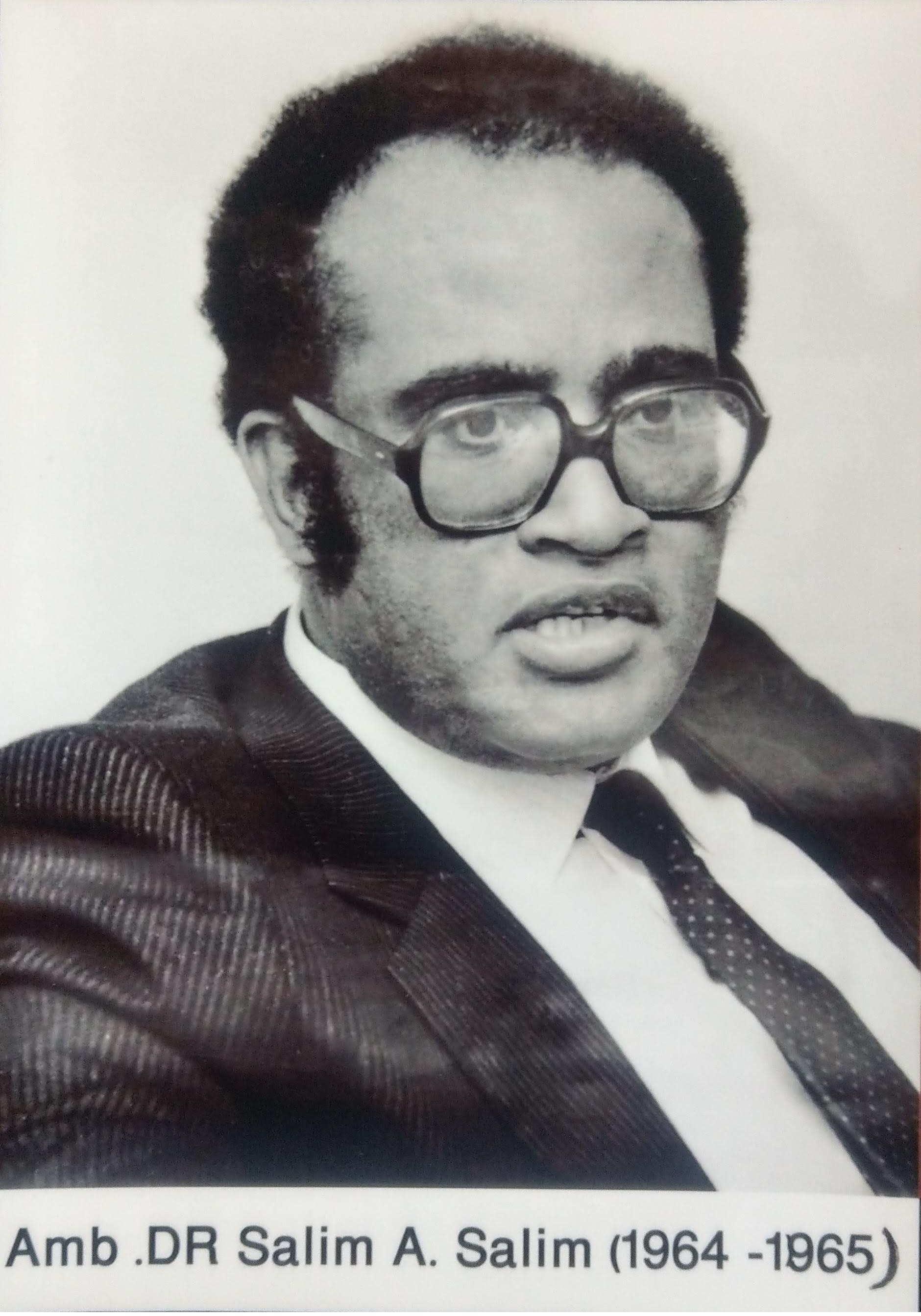 H.E. Dr. Salim A. Salim - Ambassador
