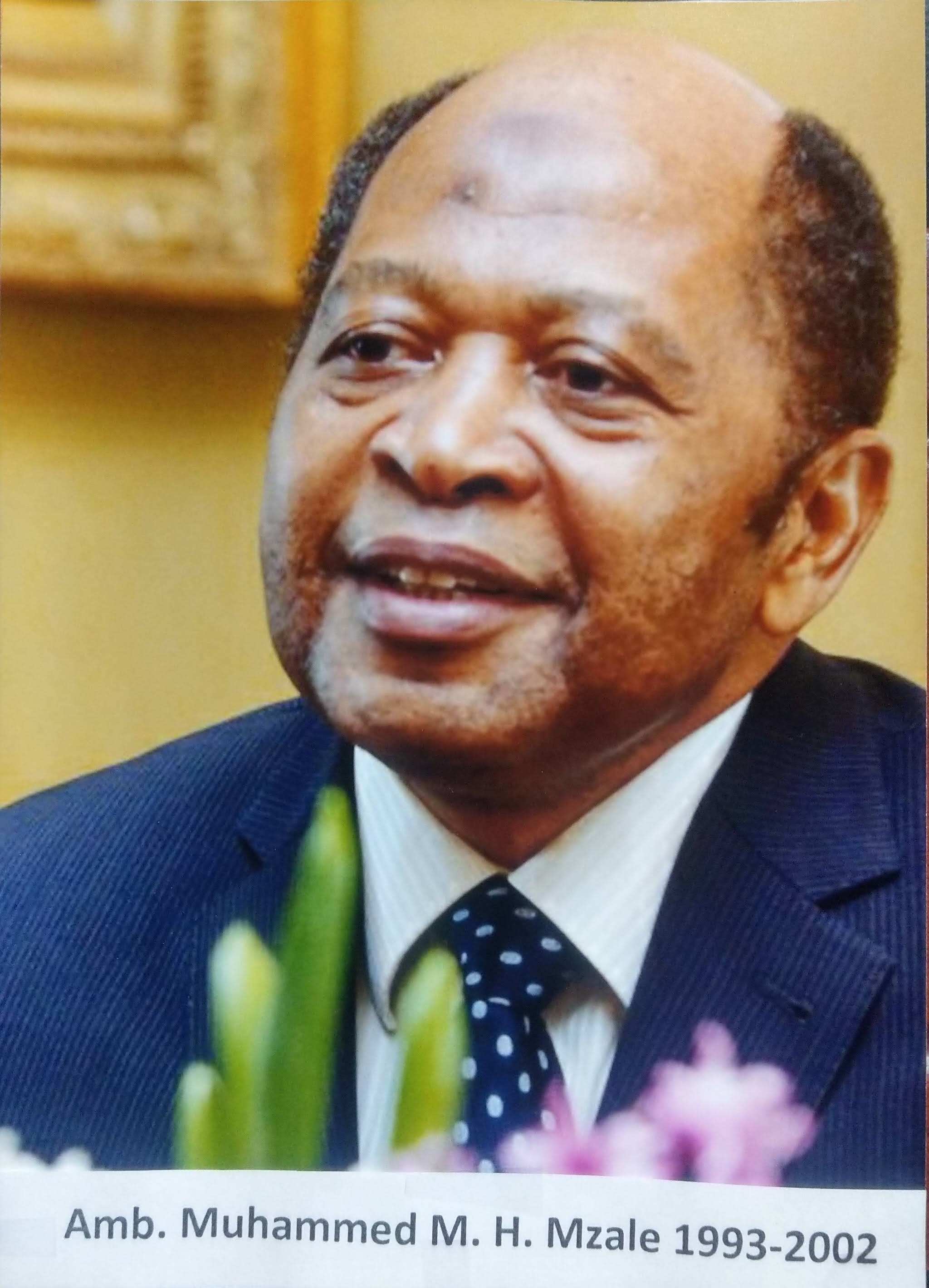 H.E. Muhammed M. H. Mzale - Ambassador